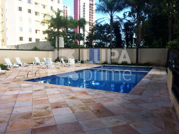 Imagem Apartamento com 3 Quartos à Venda, 88 m² em Tucuruvi - São Paulo Imagem Apartamento com 3 Quartos à Venda, 88 m² em Tucuruvi - São Paulo