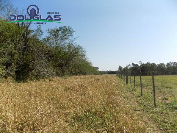 Imagem Chácara à Venda, 20.000 m² em águas Claras - Viamão