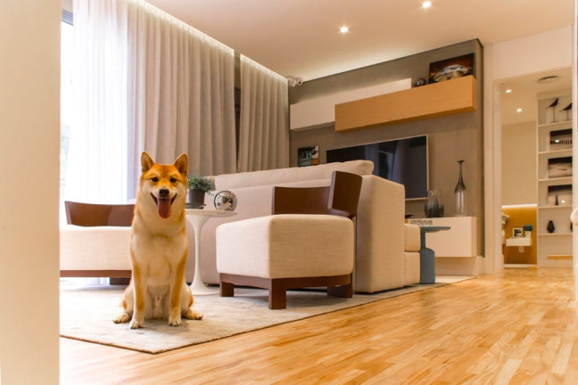 Imagem Apartamento com 3 Quartos à Venda, 65 m² em Vila Mascote - São Paulo Imagem Apartamento com 3 Quartos à Venda, 65 m² em Vila Mascote - São Paulo