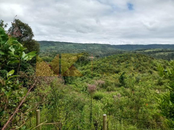 Imagem Fazenda à Venda, 64.288 m² em Barra Avencal - Rio Dos Cedros