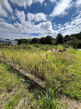 Imagem Terreno à Venda, 300 m² em Nova Esperança - Balneário Camboriú Imagem Terreno à Venda, 300 m² em Nova Esperança - Balneário Camboriú