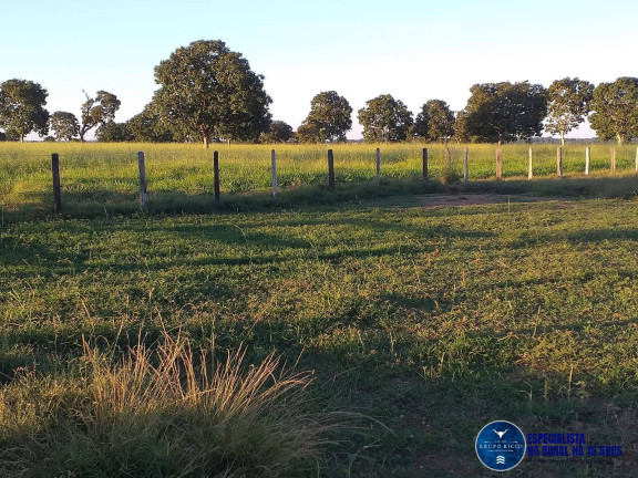 Imagem Fazenda à Venda, 46 m² em Zona Rural - Matrinchã Imagem Fazenda à Venda, 46 m² em Zona Rural - Matrinchã