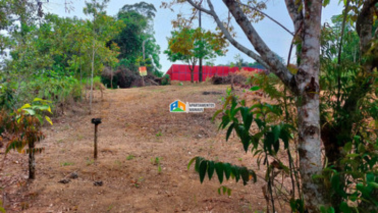 Imagem Terreno à Venda, 200 m² em Tarumã - Manaus
