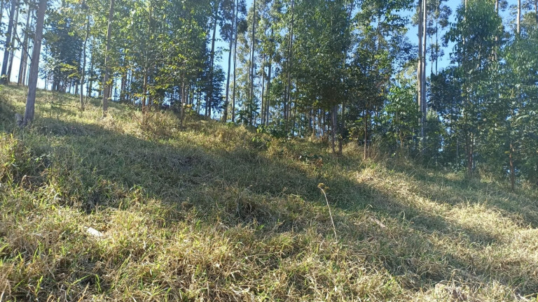 Imagem Chácara com 2 Quartos à Venda, 100 m² em Centro - Paraibuna