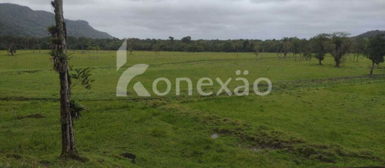 Imagem Fazenda à Venda, 90 m² em Braço Grande - Miracatu Imagem Fazenda à Venda, 90 m² em Braço Grande - Miracatu