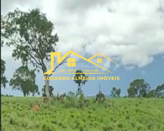 Imagem Imóvel com 3 Quartos à Venda, 602 m² em área Rural - São João D'aliança
