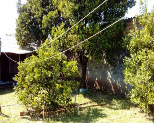 Imagem Imóvel com 2 Quartos à Venda, em Vila Fátima - Cachoeirinha Imagem Imóvel com 2 Quartos à Venda, em Vila Fátima - Cachoeirinha