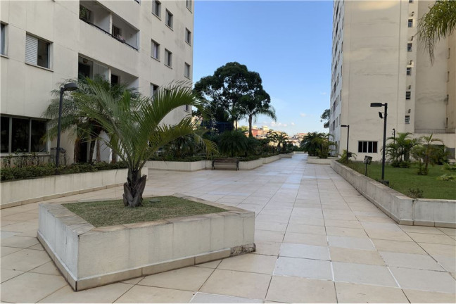 Imagem Apartamento com 3 Quartos à Venda, 73 m² em Freguesia Do ó - São Paulo