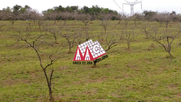 Imagem Imóvel com 3 Quartos à Venda, 968.000 m² em Pilar Do Sul - Pilar Do Sul Imagem Imóvel com 3 Quartos à Venda, 968.000 m² em Pilar Do Sul - Pilar Do Sul