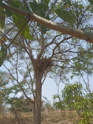 Imagem Chácara à Venda, 1.999 m² em Condomínio Tiradentes - Brumadinho