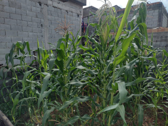 Imagem Terreno à Venda, 120 m² em Jardim Itapuã - Itaquaquecetuba Imagem Terreno à Venda, 120 m² em Jardim Itapuã - Itaquaquecetuba