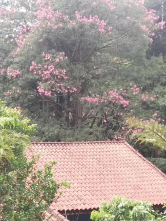 Imagem Imóvel com 3 Quartos à Venda, 13.504 m² em Somma - Ribeirão Pires