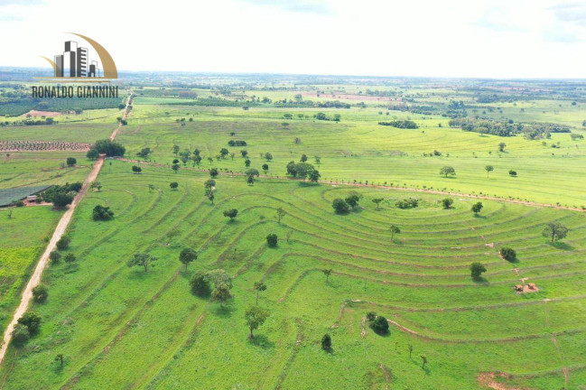 Imagem Fazenda à Venda, 18.150.000 m² em Jardim Monterey - Jales