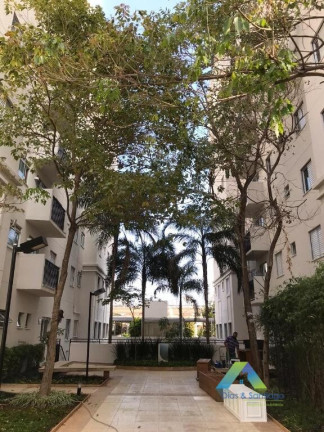 Imagem Apartamento com 3 Quartos à Venda, 70 m² em Jardim Aeroporto - São Paulo Imagem Apartamento com 3 Quartos à Venda, 70 m² em Jardim Aeroporto - São Paulo