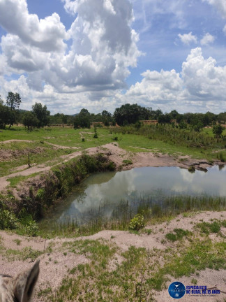 Imagem Fazenda à Venda, 37 m² em Zona Rural - Jussara Imagem Fazenda à Venda, 37 m² em Zona Rural - Jussara