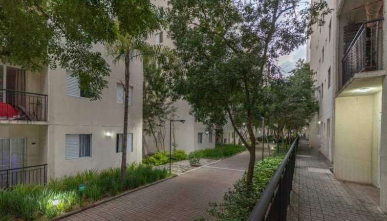 Imagem Imóvel com 2 Quartos à Venda, 50 m² em Vila Mendes - São Paulo Imagem Imóvel com 2 Quartos à Venda, 50 m² em Vila Mendes - São Paulo