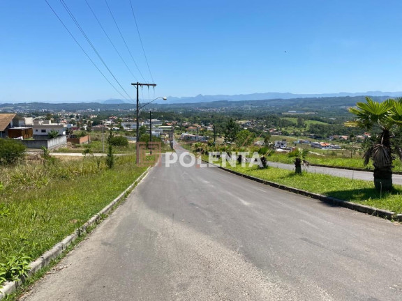 Terreno à Venda, 434 m² em Mina Do Mato - Criciúma