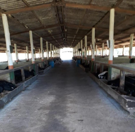Imagem Fazenda à Venda, 124 m² em Rural - Itapetininga
