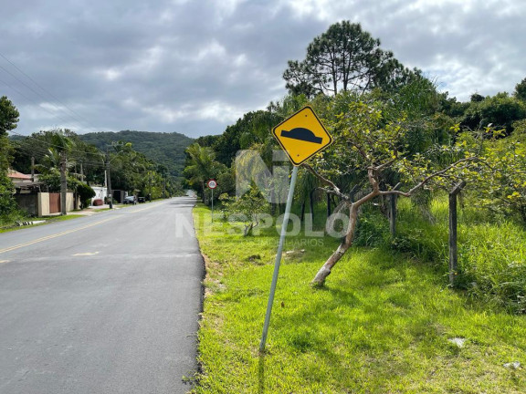 Imagem Terreno à Venda,  em Praia Do Estaleiro - Balneario Camboriu