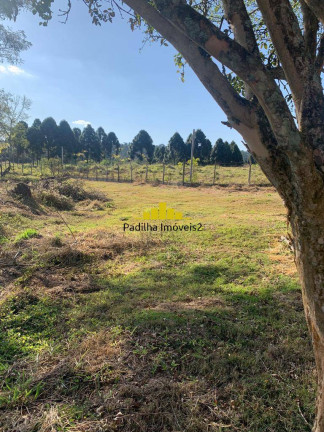 Imagem Chácara à Venda, 5 m² em Rural - Itapetininga Imagem Chácara à Venda, 5 m² em Rural - Itapetininga