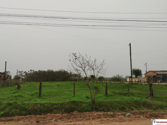 Imagem Terreno à Venda, 3.300 m² em Zona Rural - Tapes Imagem Terreno à Venda, 3.300 m² em Zona Rural - Tapes