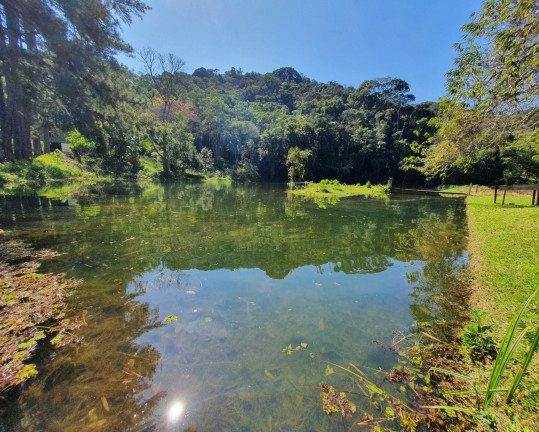 Imagem Imóvel com 14 Quartos à Venda, 56.000 m² em Barnabés - Juquitiba