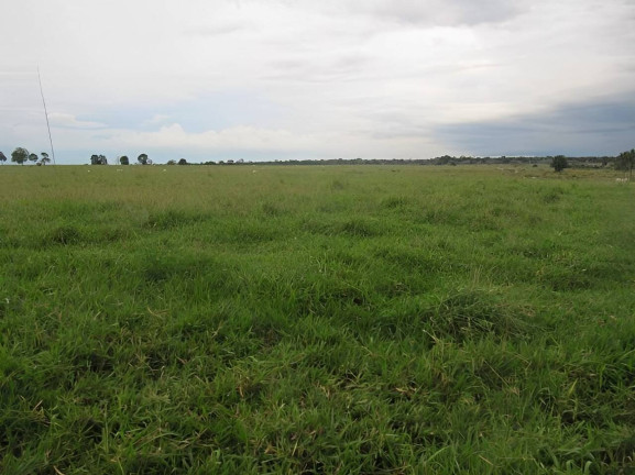 Imagem Fazenda à Venda, 2.541 m² em Centro - Pontes E Lacerda Imagem Fazenda à Venda, 2.541 m² em Centro - Pontes E Lacerda