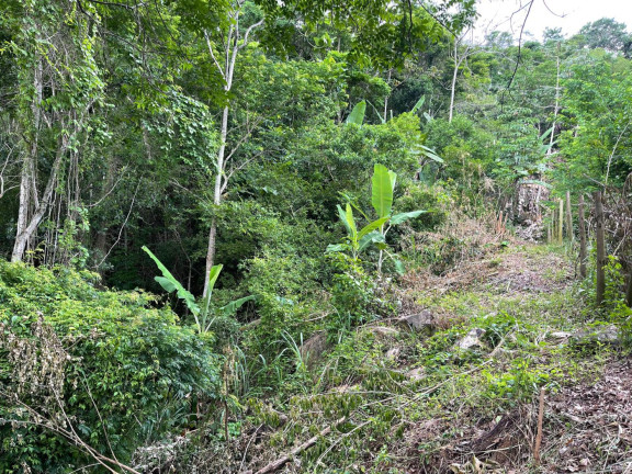 Imagem Terreno à Venda, 2.000 m² em Guaratiba - Rio De Janeiro