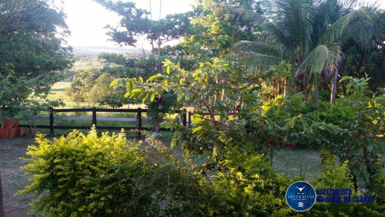 Imagem Chácara à Venda, 5 m² em Zona Rural - Santa Cruz De Goiás Imagem Chácara à Venda, 5 m² em Zona Rural - Santa Cruz De Goiás