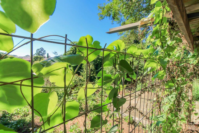 Imagem Terreno à Venda, 2.420 m² em Vila Nova - Porto Alegre Imagem Terreno à Venda, 2.420 m² em Vila Nova - Porto Alegre