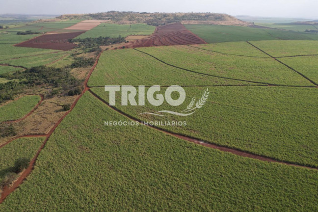 Imagem Fazenda à Venda, 56 m² em Zona Rural - Igarapava
