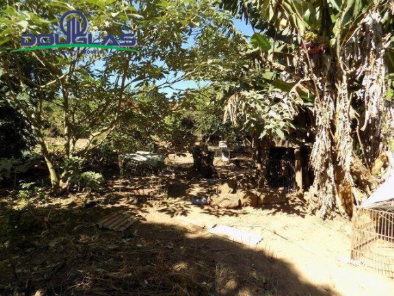 Imagem Imóvel Comercial à Venda, 5.000 m² em águas Claras - Viamão