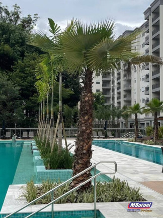 Imagem Apartamento com 2 Quartos à Venda, 67 m² em Santo Amaro - São Paulo Imagem Apartamento com 2 Quartos à Venda, 67 m² em Santo Amaro - São Paulo