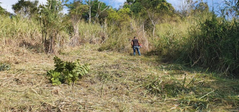 Imagem Terreno à Venda, 3.100 m² em Guaratiba - Rio De Janeiro