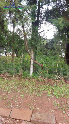 Imagem Terreno à Venda, 600 m² em águas Claras - Viamão
