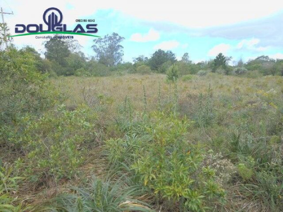 Imóvel Comercial à Venda, 3.640 m² em Morro Grande - Viamão