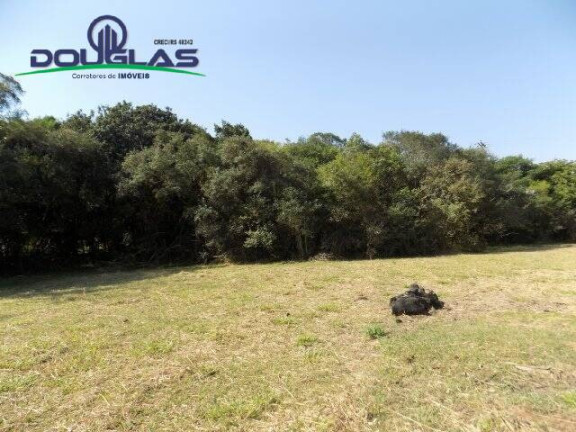 Imagem Chácara à Venda, 20.000 m² em águas Claras - Viamão