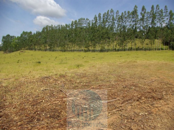 Imagem Imóvel com 3 Quartos à Venda, 302.500 m² em Zona Rural - Jacui