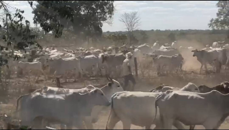 Imagem Fazenda à Venda, 2.000 m² em Cuiabá Imagem Fazenda à Venda, 2.000 m² em Cuiabá
