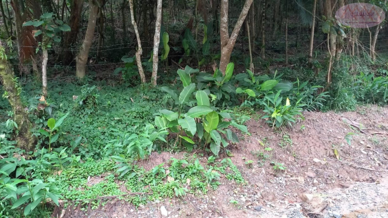 Imagem Terreno à Venda, 3.504 m² em Represa - Ribeirão Pires