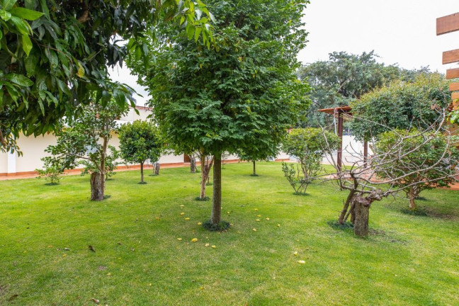 Imagem Casa com 1 Quarto à Venda, 509 m² em Alto De Pinheiros - São Paulo Imagem Casa com 1 Quarto à Venda, 509 m² em Alto De Pinheiros - São Paulo