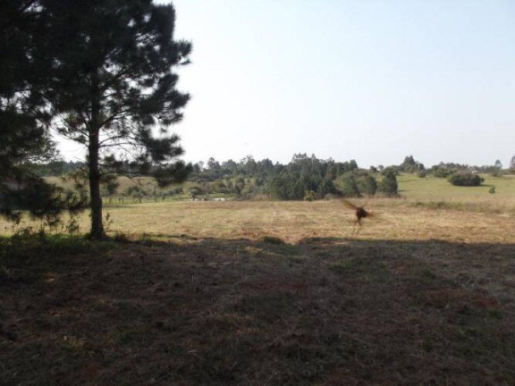 Imagem Terreno à Venda, 80.000 m² em águas Claras - Viamão