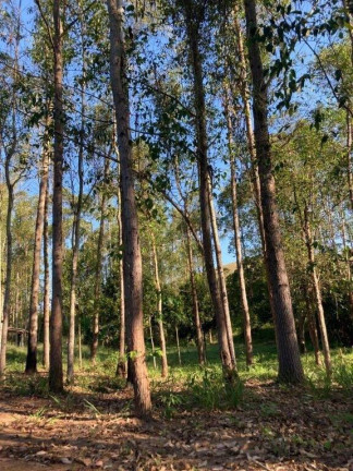 Imagem Chácara com 2 Quartos à Venda, 180 m² em Centro - Taubaté