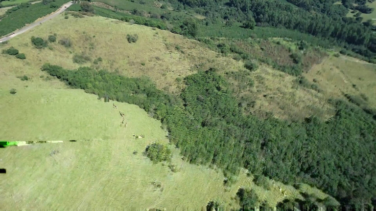 Imagem Fazenda à Venda, 31 m² em Poços De Caldas Imagem Fazenda à Venda, 31 m² em Poços De Caldas