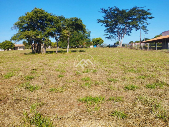 Imagem Fazenda à Venda, em Estância Favoreto - Sertanópolis Imagem Fazenda à Venda, em Estância Favoreto - Sertanópolis
