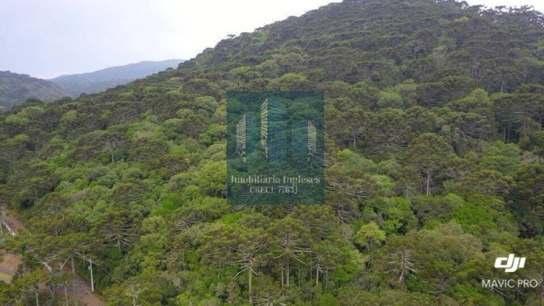 Imagem Chácara à Venda, 10 m² em Urubici