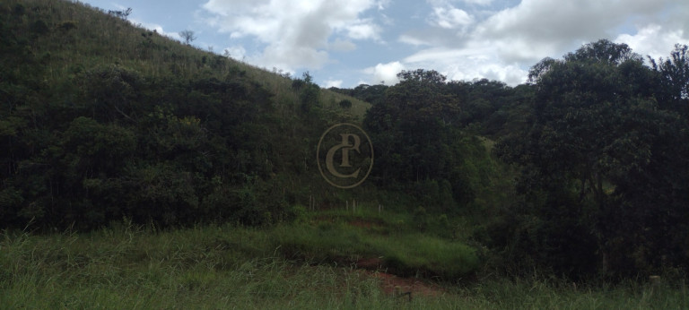 Imagem Chácara com 3 Quartos à Venda, 120 m² em Centro - Guaratinguetá