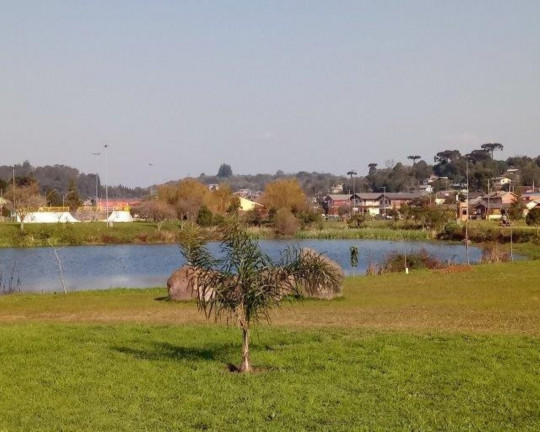 Imagem Imóvel com 2 Quartos à Venda, em Centro - Canela Imagem Imóvel com 2 Quartos à Venda, em Centro - Canela