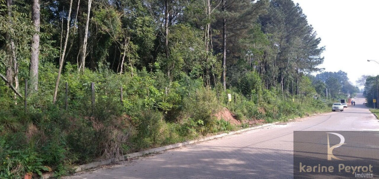 Imagem Terreno à Venda, 300 m² em Campestre - São Leopoldo