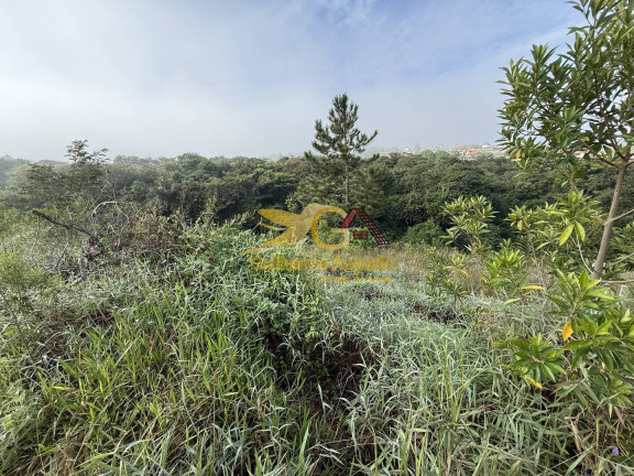 Imagem Terreno à Venda, 400 m² em Monte Verde - São João Del Rei Imagem Terreno à Venda, 400 m² em Monte Verde - São João Del Rei